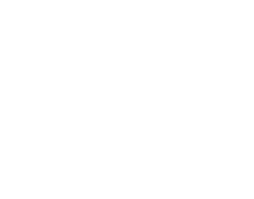 ДВА НОЖІ